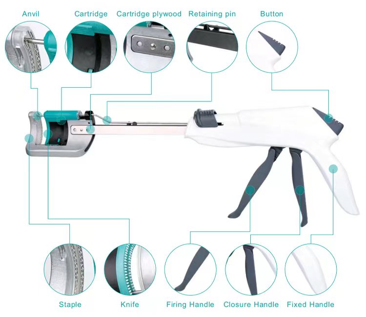 Disposable Curved Cutter Stapler and reloading unit